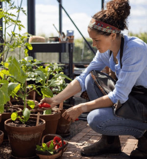 Multipurpose Compost